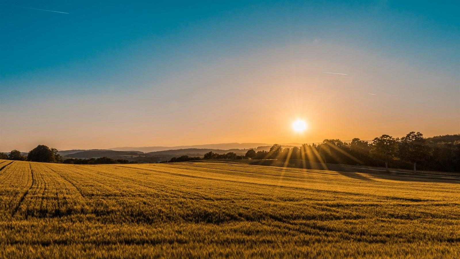 Sunrise over agricultural fields in Andhra Pradesh, India