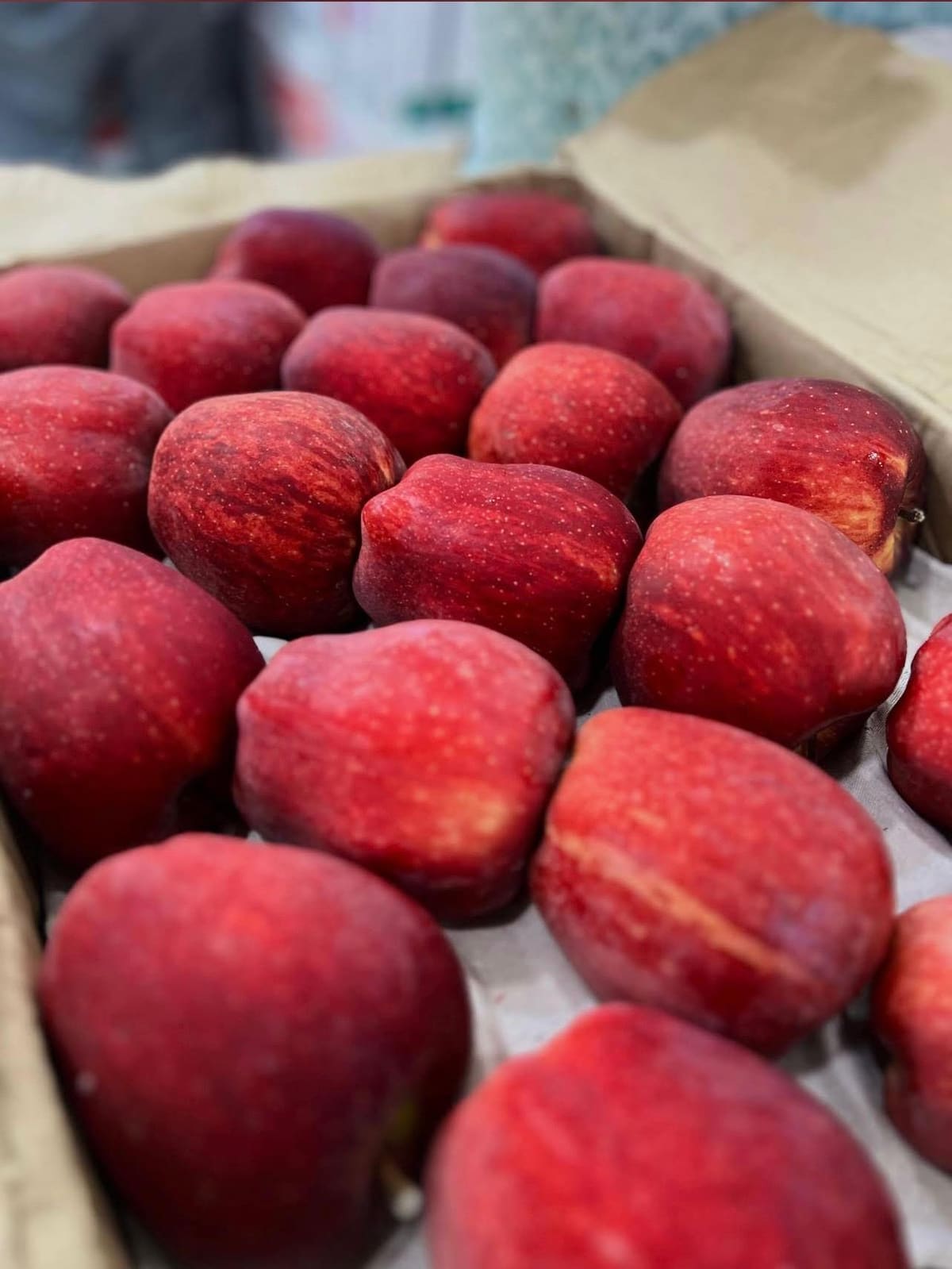 Export-grade Kinnaur red apples packed in a carton